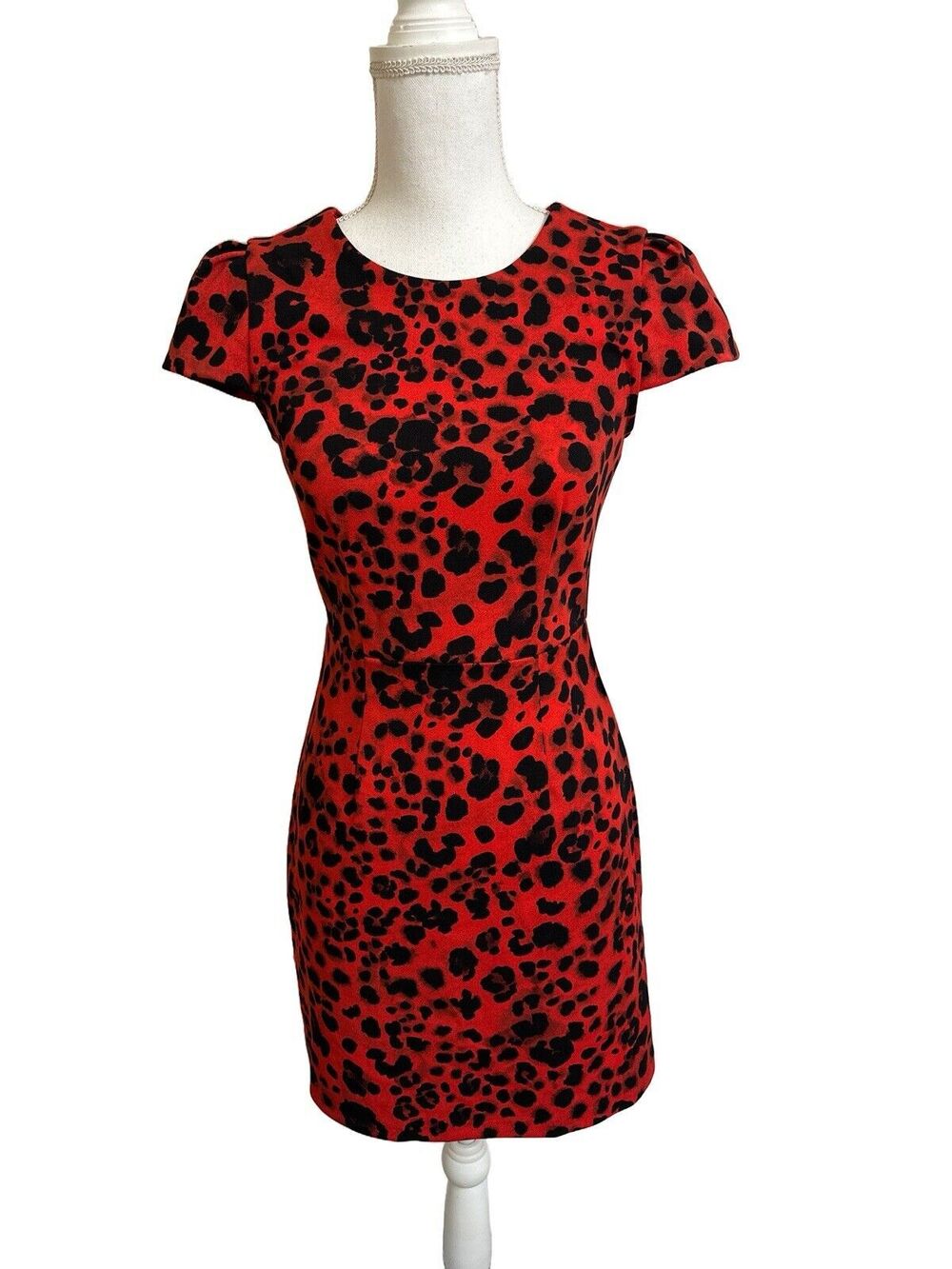 NWT Betsey Johnson  Women's 0 Red Leopard Printed Dress Knee Length Cap Sleeves